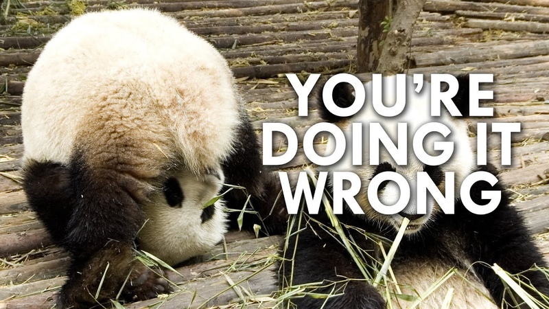 Pandas Are Worse at Sex Than