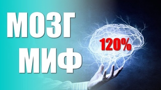 ГОЛОВНОЙ МОЗГ. Мифы о мозге человека
