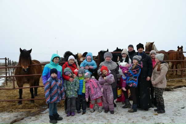 Посещение конной фермы дети. Ферма мультяшный. Фермы для посещения с детьми. Фермы для посещения с детьми. Посещение фермы.