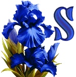 синий ирис алфавит, image #18