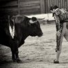 Аватар: Raul Sabio