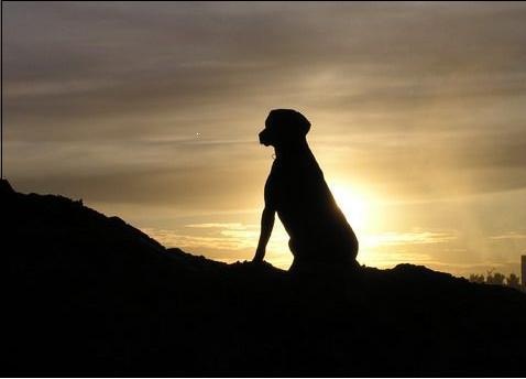 №23, Валентин Шестопёров, 41 год, Люберцы, Россия №23, Валентин Шестопёров, 41 год, Люберцы, Россия