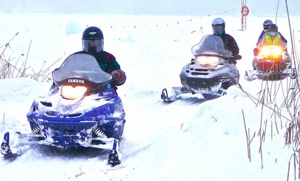 №53, Алина Ковалевская, Санкт-Петербург №53, Алина Ковалевская, Санкт-Петербург