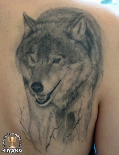 №8, Денис Бровко №8, Денис Бровко