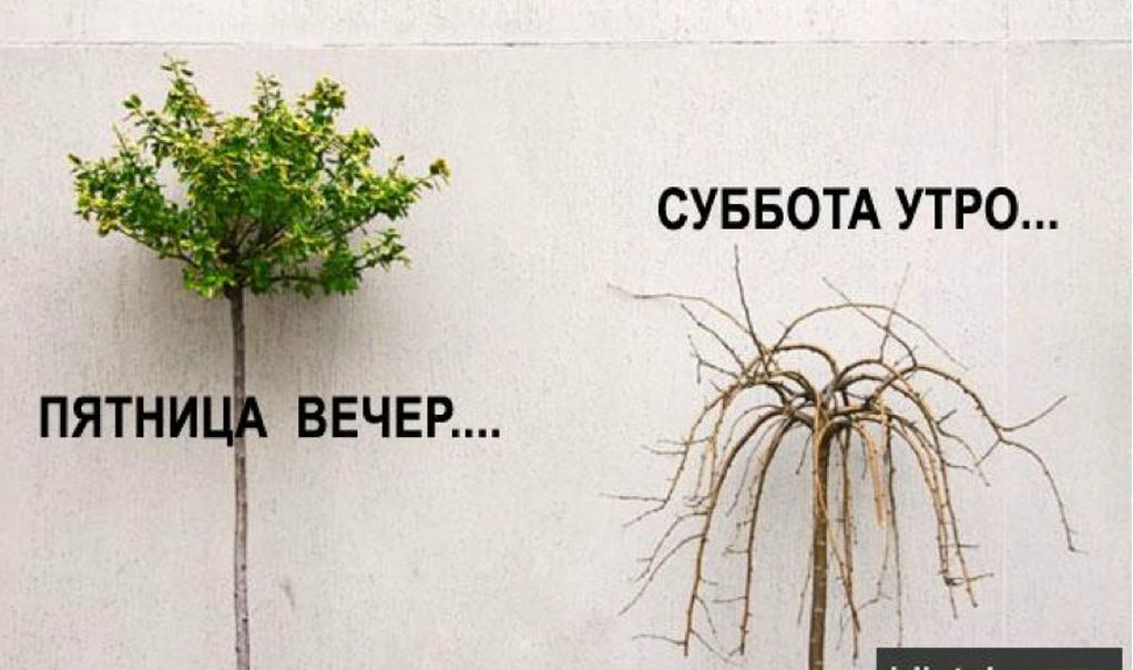 №70, Максим Потапов, 39 лет, Москва, Россия №70, Максим Потапов, 39 лет, Москва, Россия