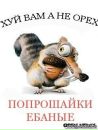 Фотография Макс Соколов