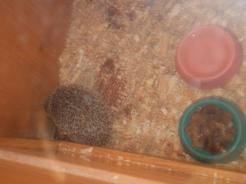 Ирина Соболева Алексеевна | Хабаровск