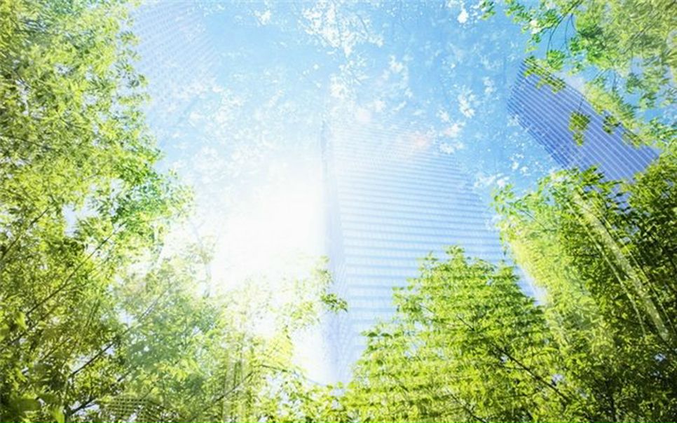 №107, Екатерина Волкова №107, Екатерина Волкова