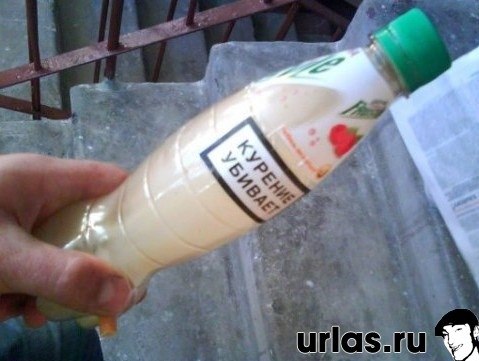 Амир Цугаев | 