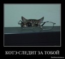 Фотография Якущенко Максима