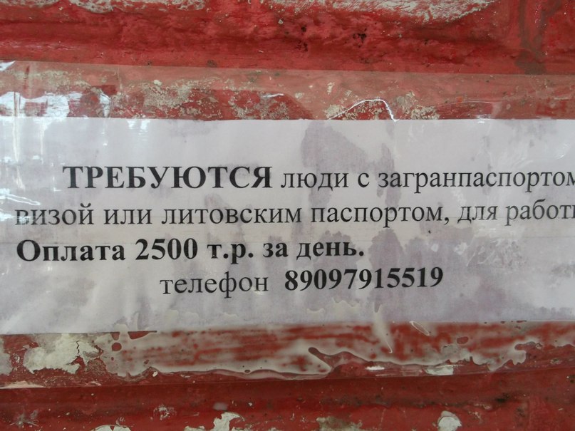 Дмитрий Ерофеев | 