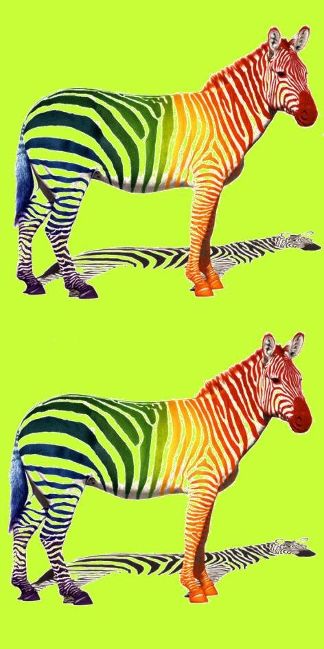 Виолетта Будрина | Одесса