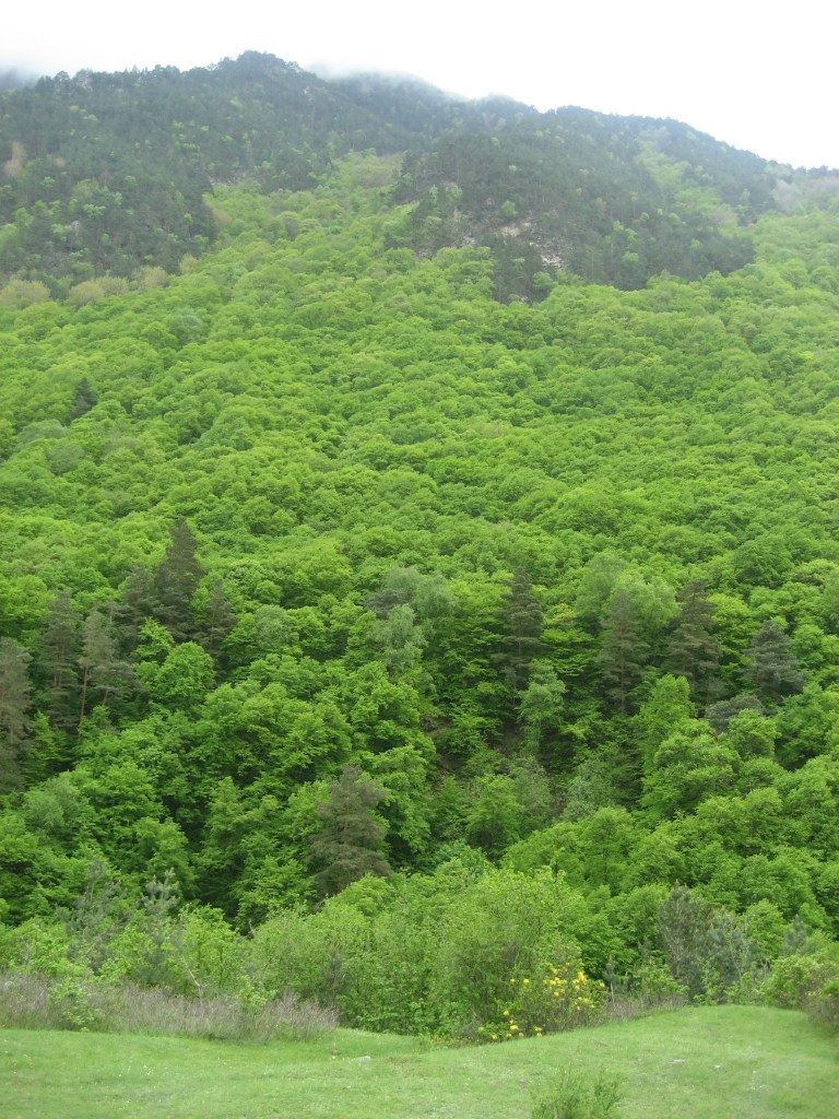 Галя Федоровская (Ночное Небо) | Владикавказ