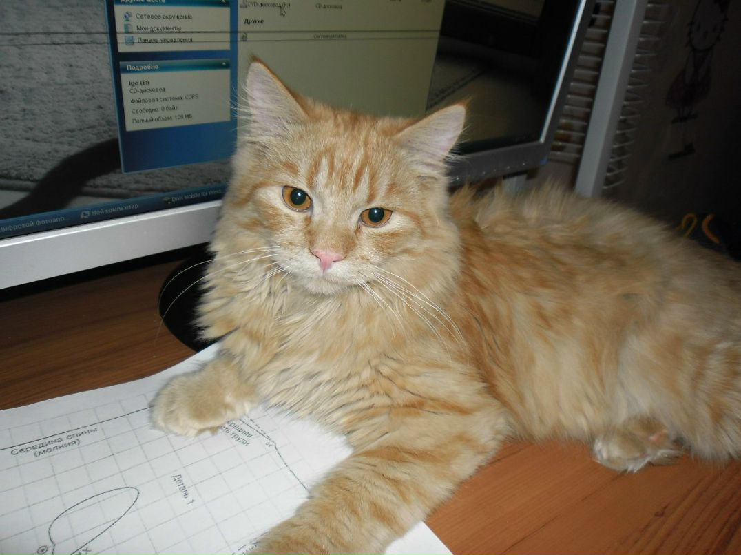 Оля Клименко | Запорожье