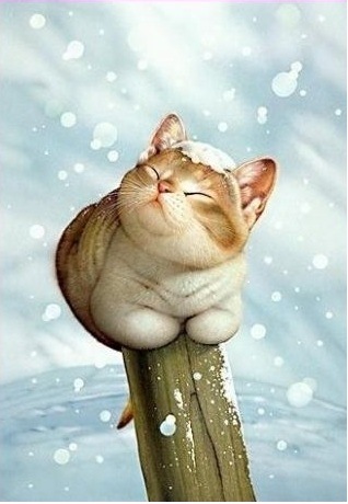 №44, Юлия Нестеренко, Барнаул №44, Юлия Нестеренко, Барнаул