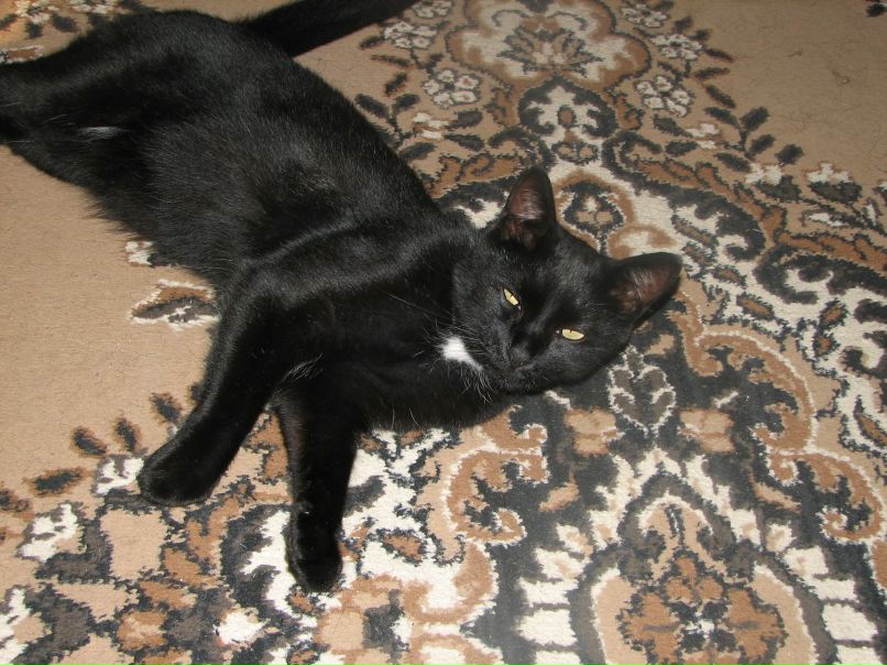 Инна Барыш | Киев