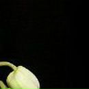 Екатерина Клименко | Киев