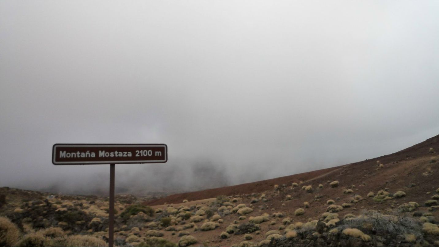 Илья Нестеренко | Санкт-Петербург