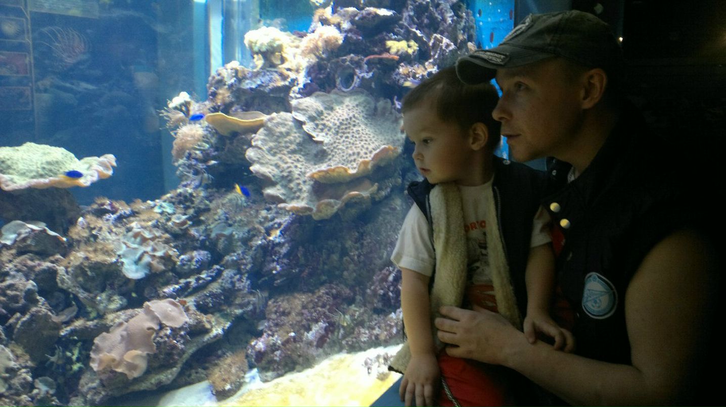 Андрей Топорин | Санкт-Петербург