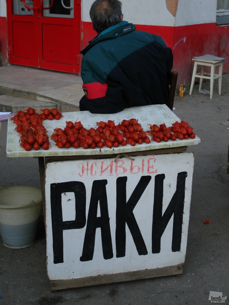 Тарас Паникоровский | Санкт-Петербург