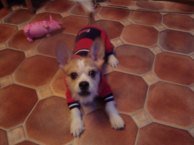 Оля Вуйко | Москва