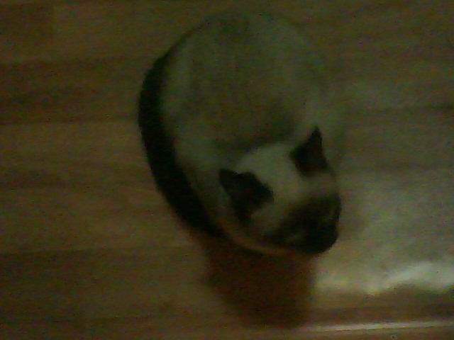 Мария Ткачёва | Казань