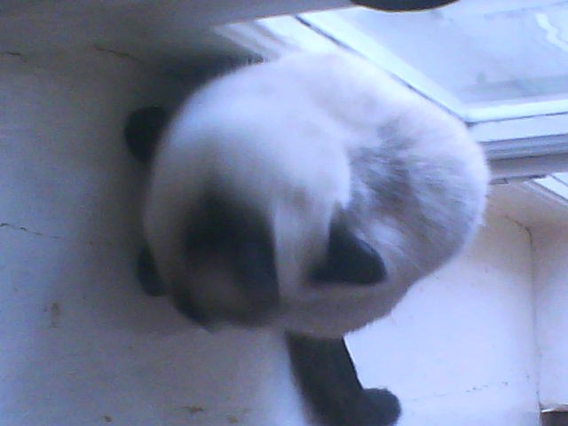 Мария Ткачёва | Казань