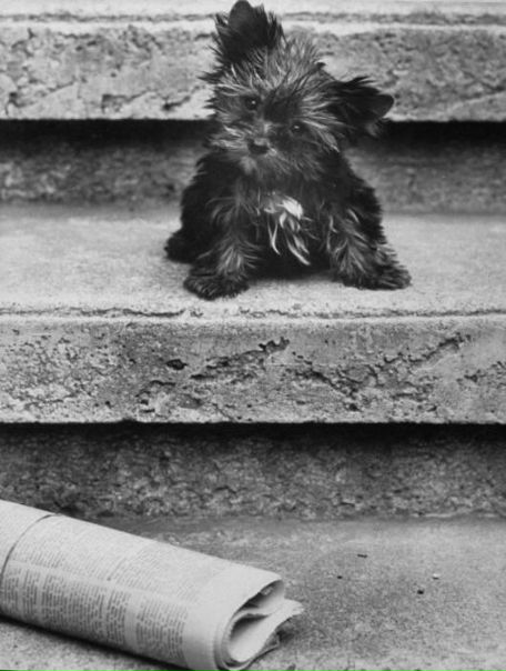 №177, Юля Тесля, Киев №177, Юля Тесля, Киев