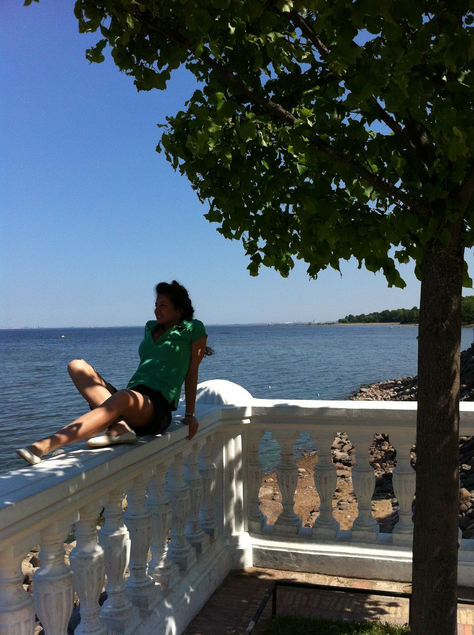 Александр Василевский | Москва