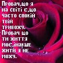 №26, Майя Долготер №26, Майя Долготер