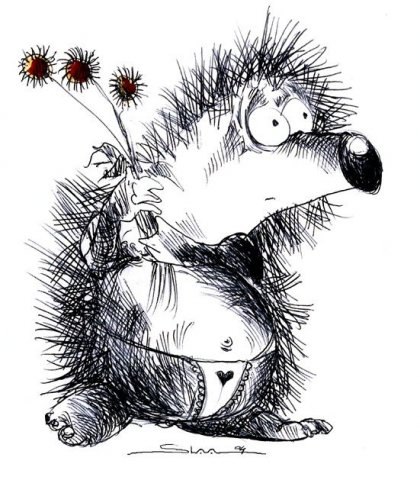 Виталий Цыган Hedgehog | Warszawa