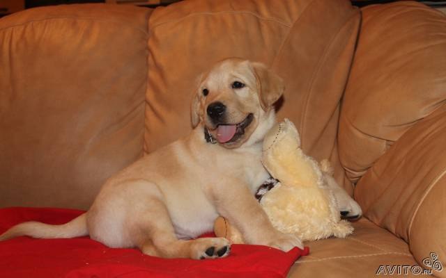 Галина Пасенко | Бердск