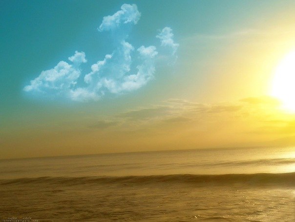 Саид Давронов I ♥ ﷲ | Los Angeles