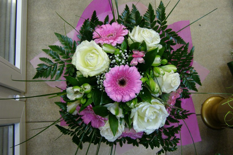 Светлана Тукмачева | Киров