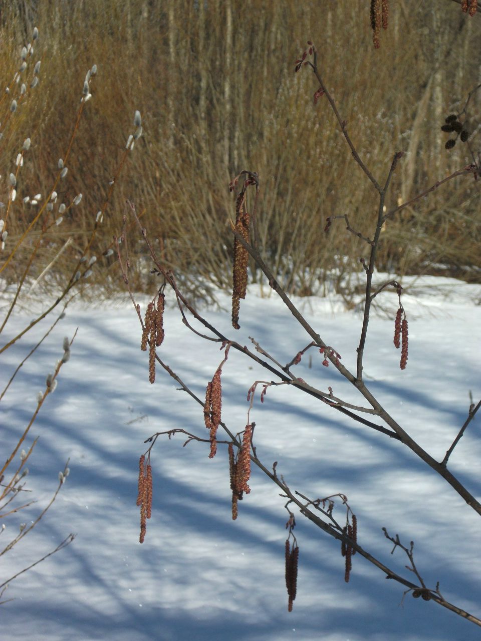 Наталья Локатош | Санкт-Петербург