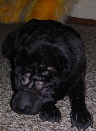 Женечка Смирнова | Харовск