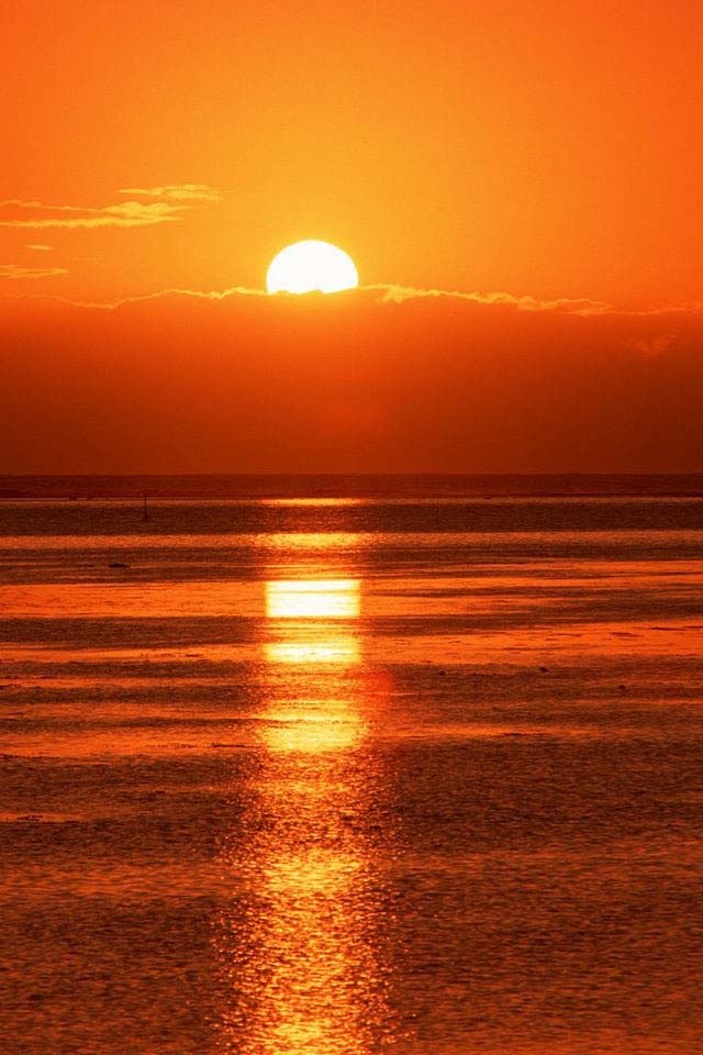 Monika Kiss | Москва