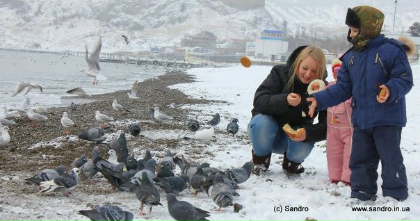 №196, Александр Кирьяков, Судак №196, Александр Кирьяков, Судак