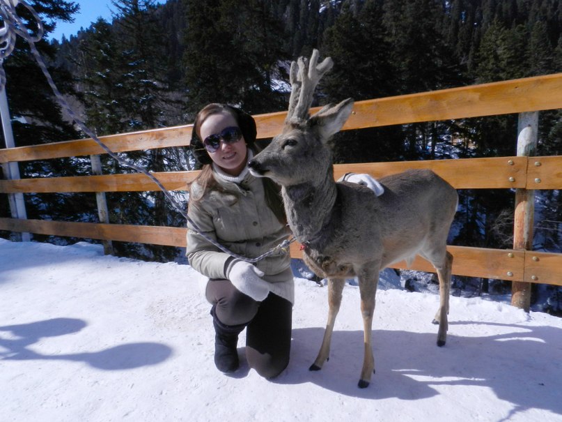 Оля Семёнова | Ставрополь