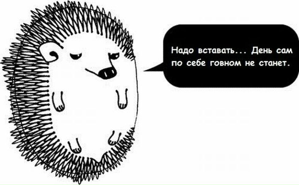 №1, Воффка Чиркин, Санкт-Петербург №1, Воффка Чиркин, Санкт-Петербург