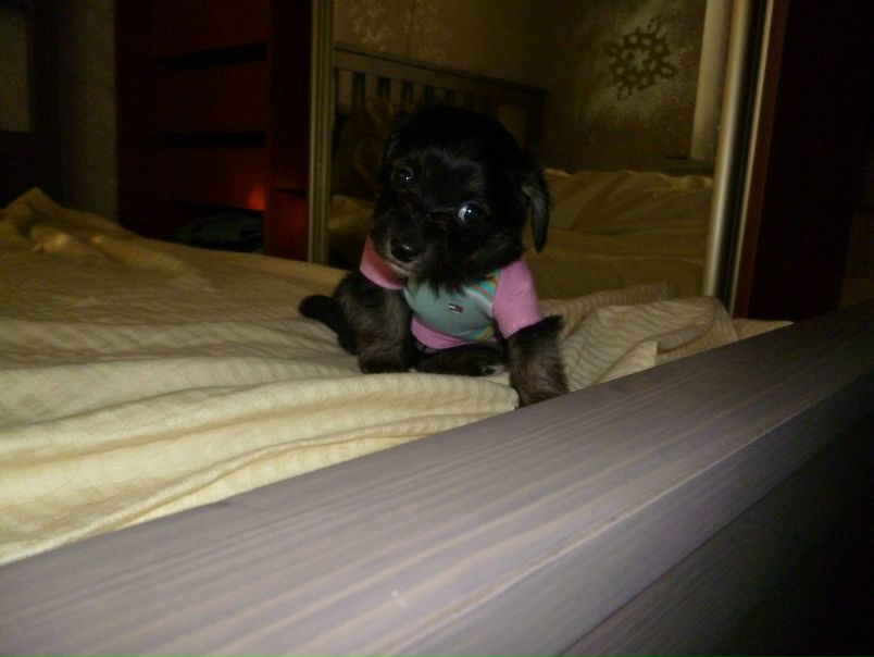 №13, Женя Коршунов, 36 лет, Санкт-Петербург, Россия №13, Женя Коршунов, 36 лет, Санкт-Петербург, Россия