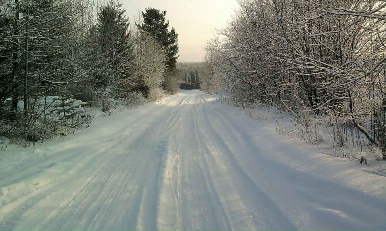 Таня Дяреткина | Екатеринбург