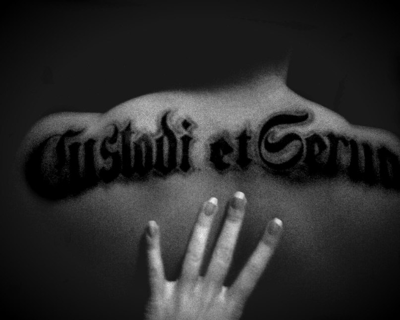 Серёга Ревин | Бармино