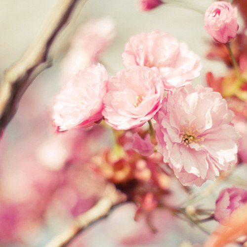 №25, Алёна Соболь, Чита №25, Алёна Соболь, Чита