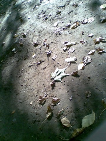 Тёма То | Москва