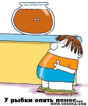 №1, Владимир Шибанов №1, Владимир Шибанов