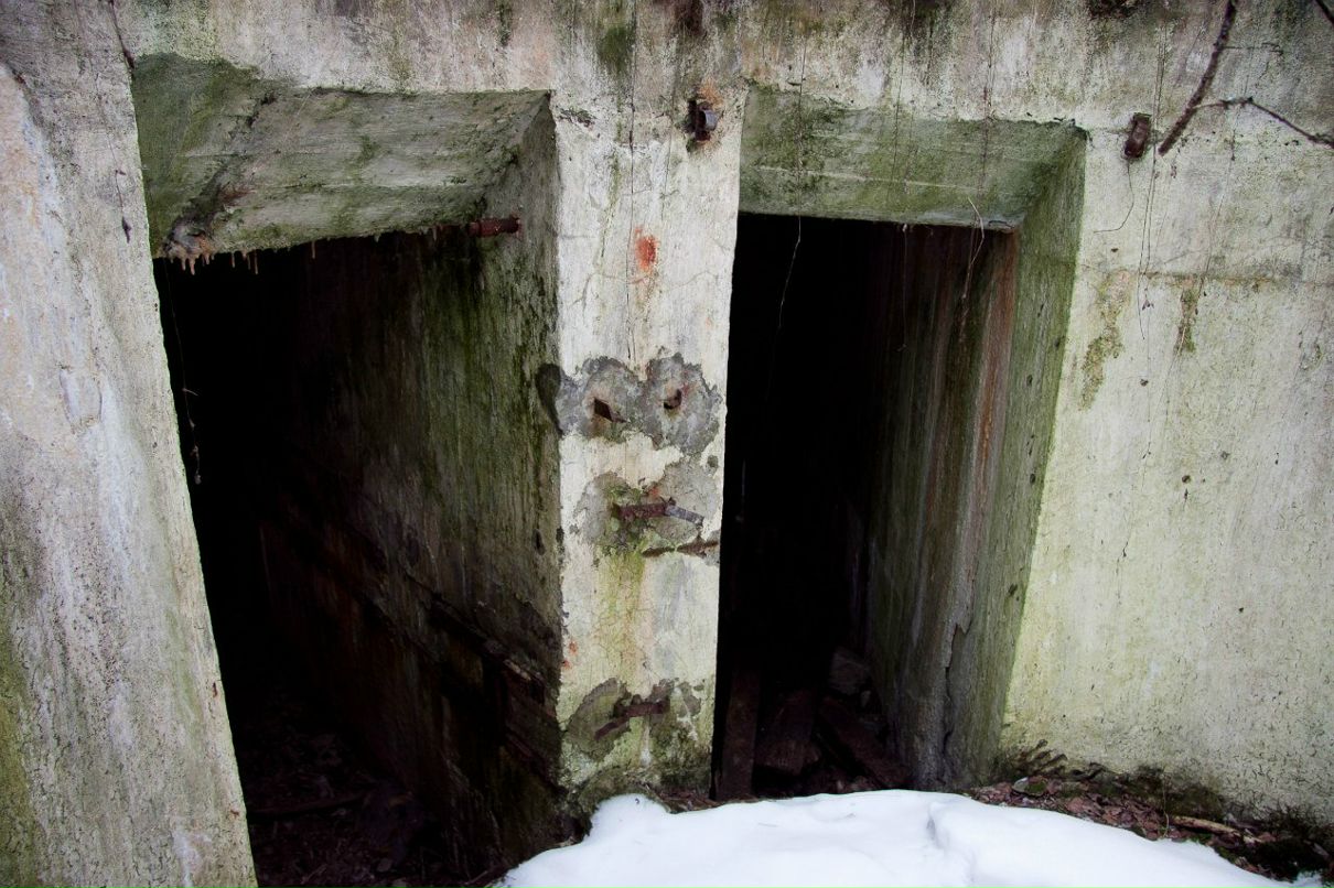 Дмитрий Паппель | Chennai