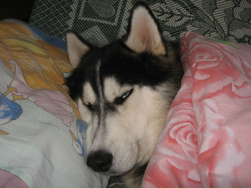 Виталий Кацай | Севастополь