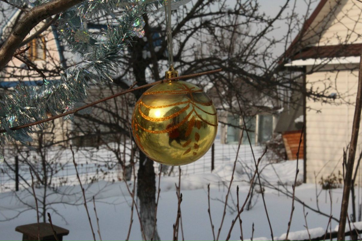 Андрей Лобыкин | Новокузнецк