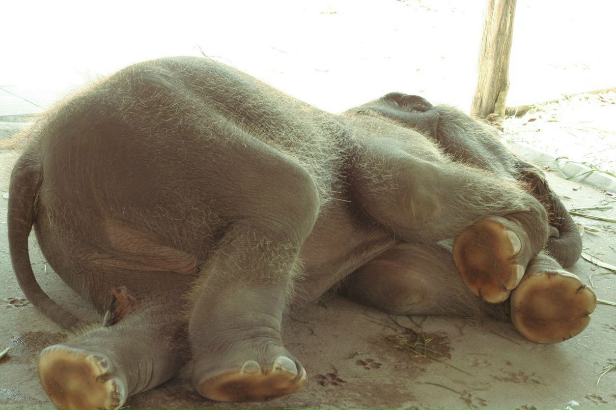 Мария Хандак | Москва